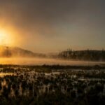 Environmental Audits