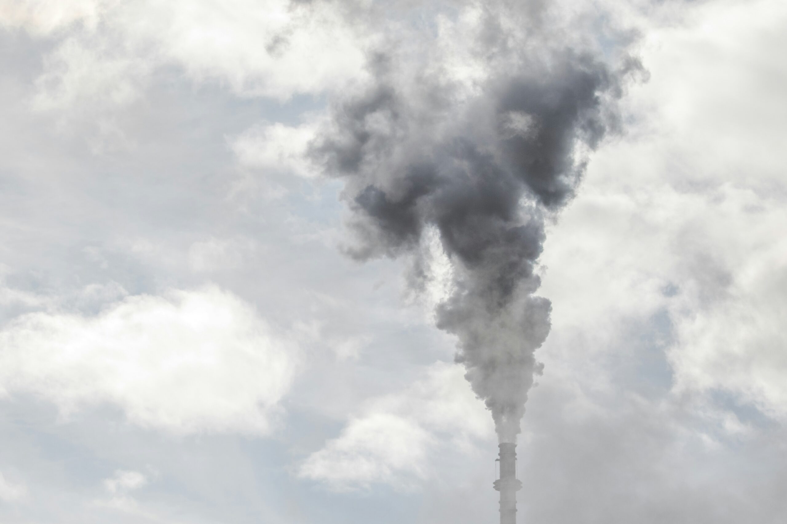 Infographic comparing different types of pollution insurance policies side-by-side.