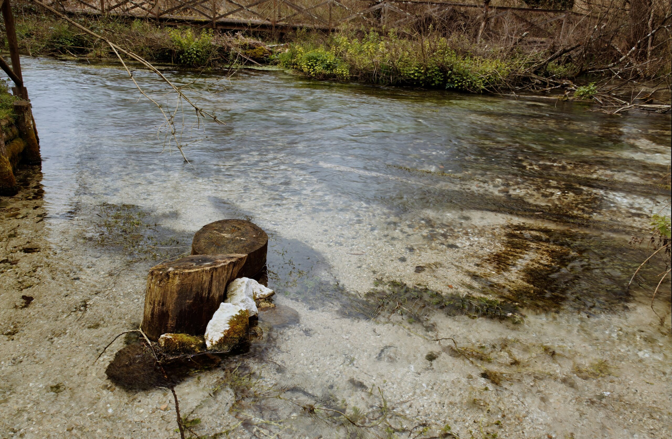 Photo showing environmental impact of chemical spills near industrial areas.