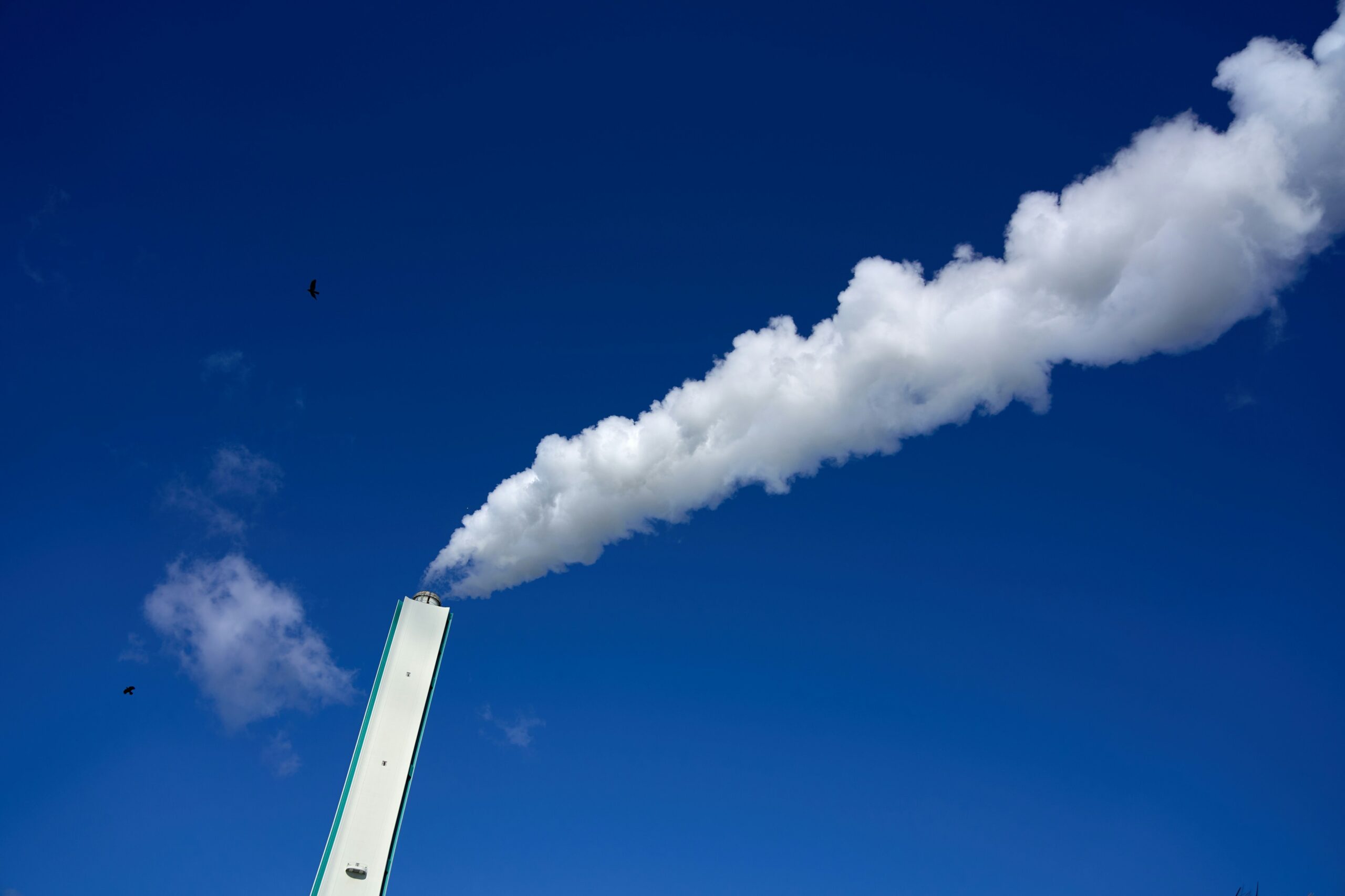 Importance of Pollution Risk Assessments Infographic