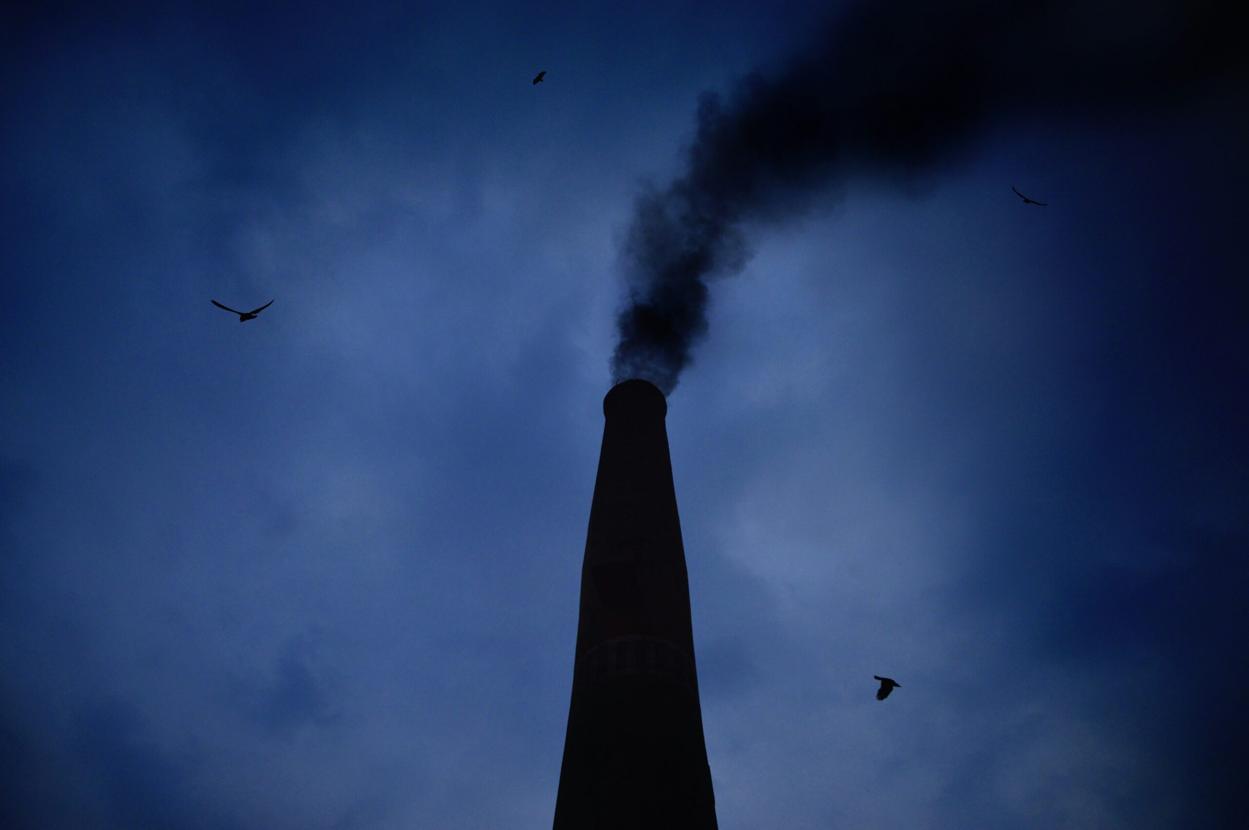 Graph showing rise in pollution claims leading to litigation