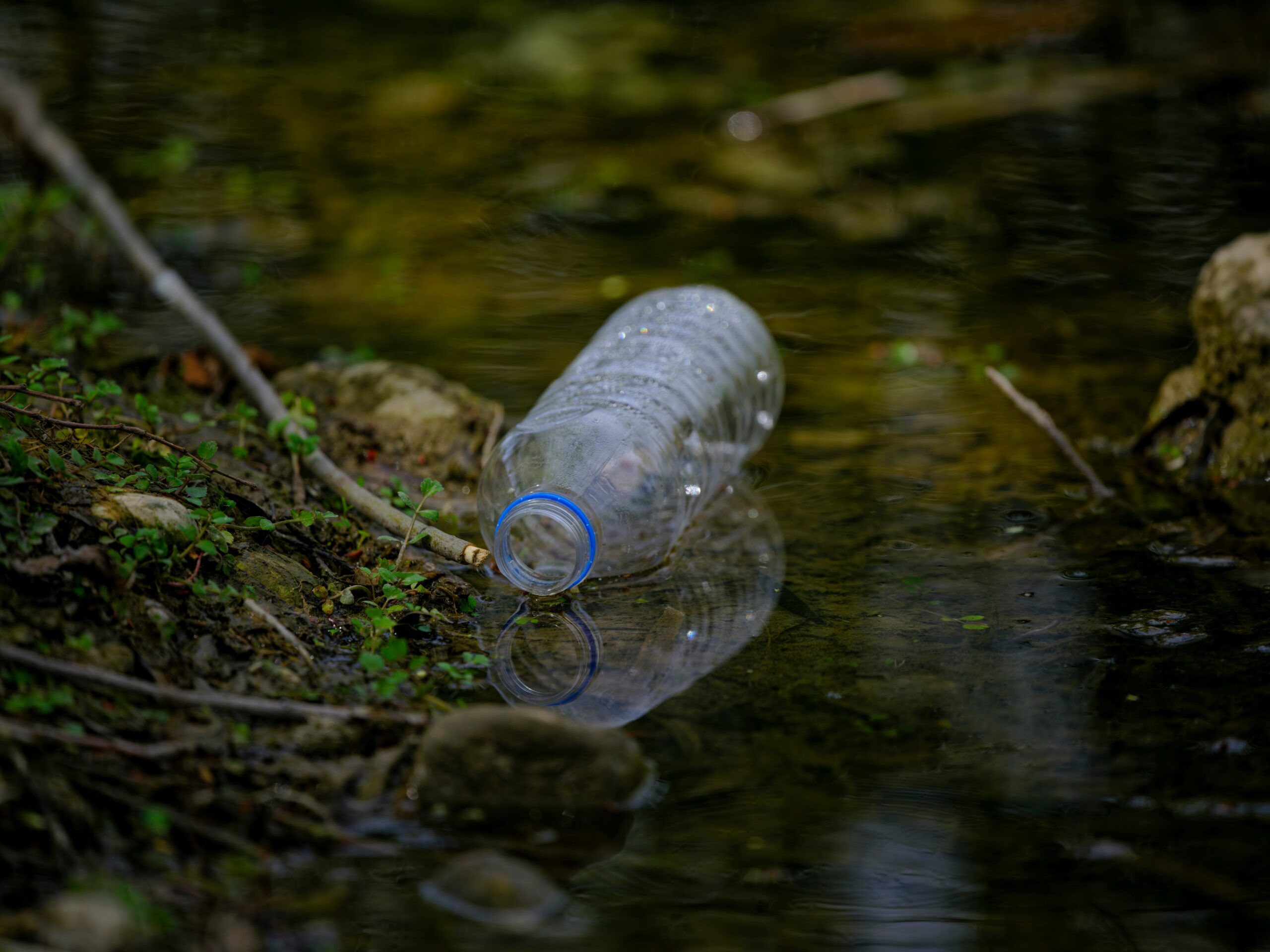 Business owner reviewing legal documents about environmental compliance