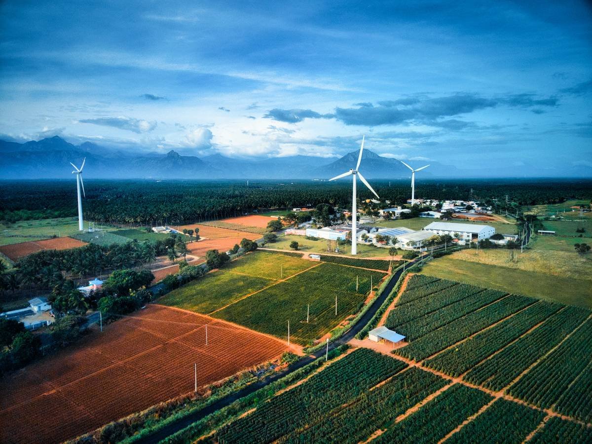 Flowchart illustrating steps for reducing pollution through green initiatives