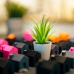 Pollution Avoidance Advice: Protecting Your Wallet and the Planet with Smart Credit Card Choices