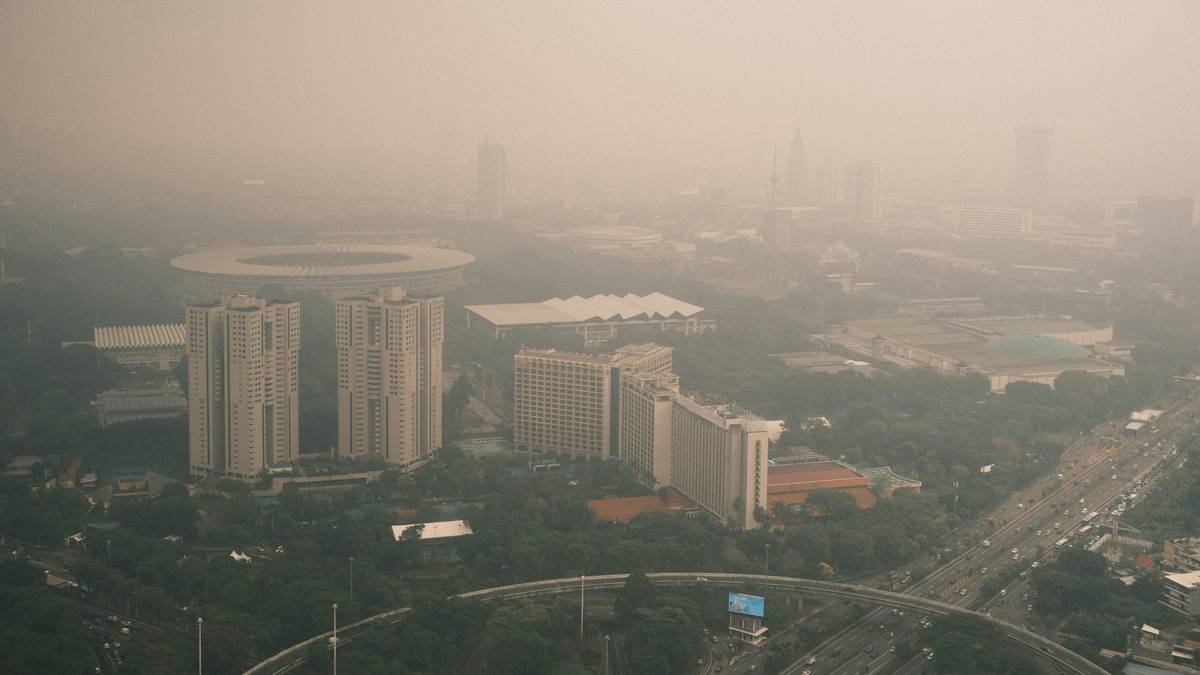 Flowchart illustrating steps to secure pollution legal assistance