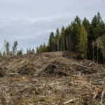 When Pollution Strikes: How to Get the Best Pollution Legal Help in 2024