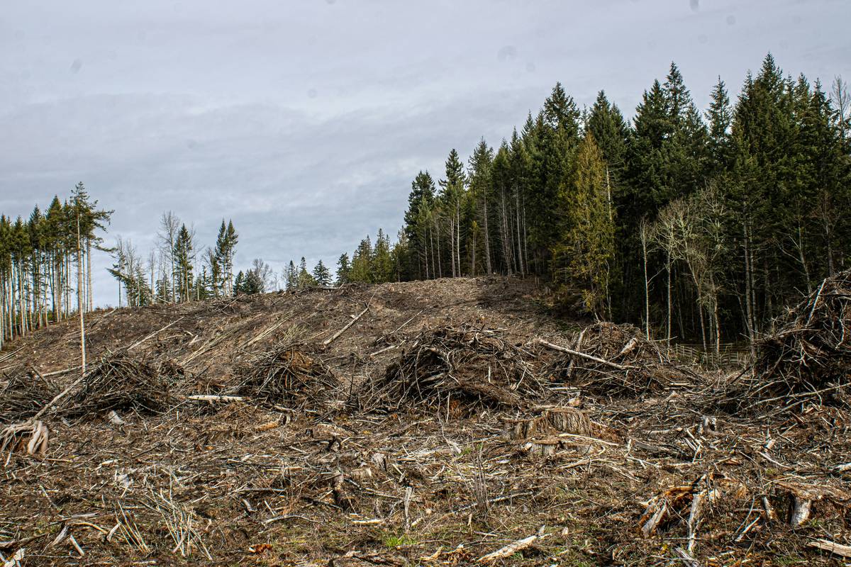 When Pollution Strikes: How to Get the Best Pollution Legal Help in 2024