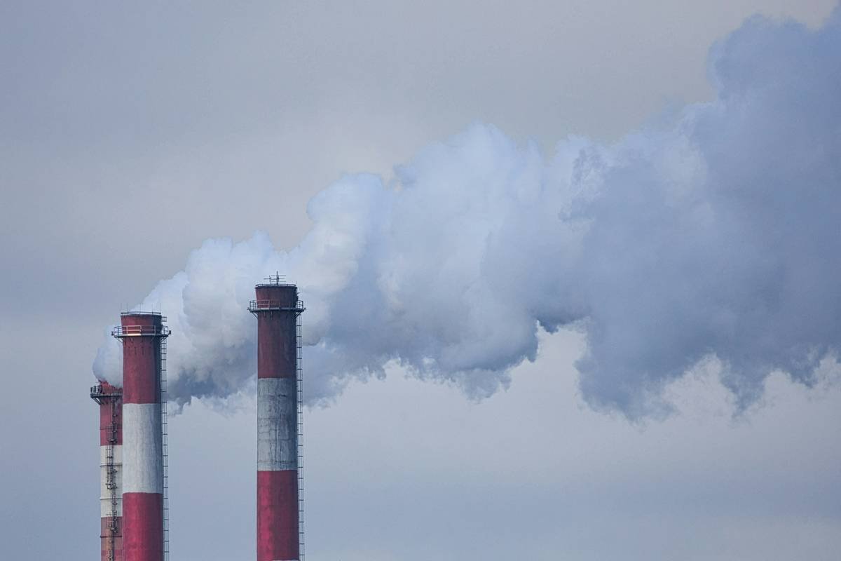 Pollution Lawsuit Assistance: How Credit Card and Insurance Strategies Can Save You