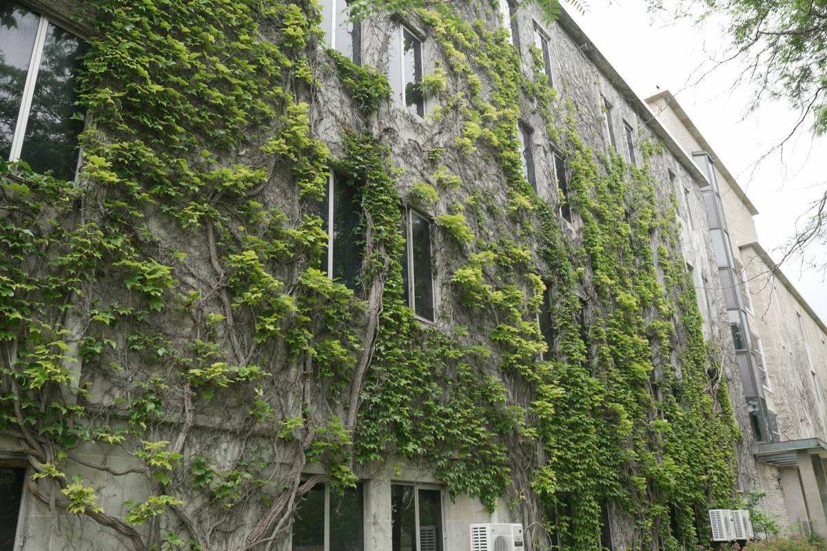 Infographic showing pollution incidents and average costs without insurance