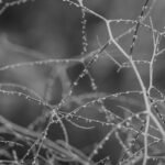 Environmental Legal Defense: The Ultimate Guide to Pollution Insurance