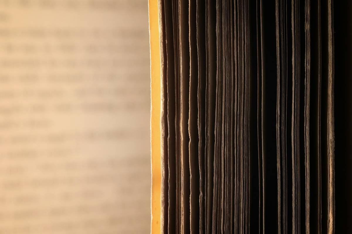 Infographic showing the growth of pollution-related lawsuits over the last decade