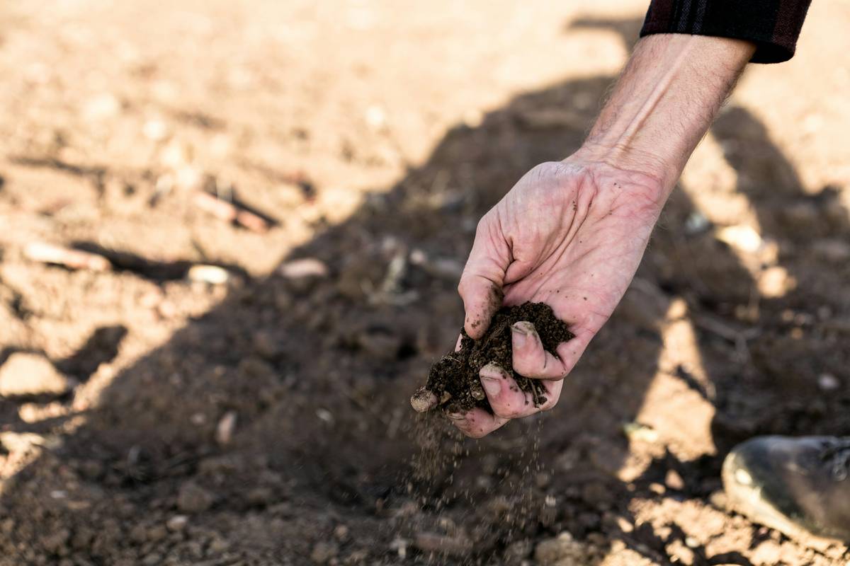 Bar chart showing average soil remediation costs by contaminant type: petroleum ($150k), heavy metals ($300k), pesticides ($400k), industrial solvents ($600k)