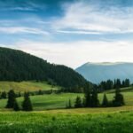 How Pollution Risk Reduction Saves Your Wallet—and Why Your Credit Card Might Be Part of the Solution