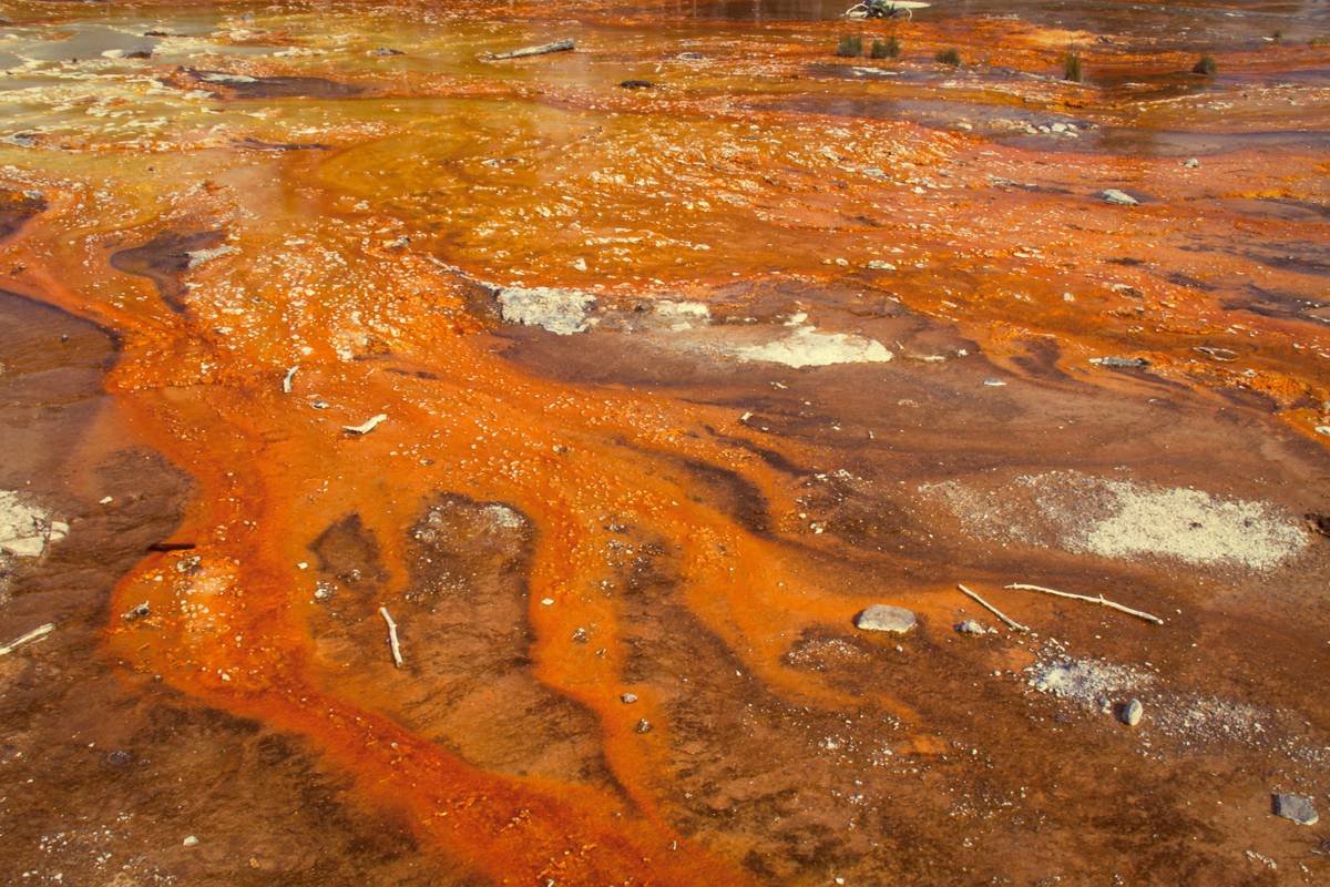 What If Your Home Spills Oil? Why Environmental Damage Cleanup Costs Could Wreck Your Budget (And How Pollution Insurance Saves the Day)