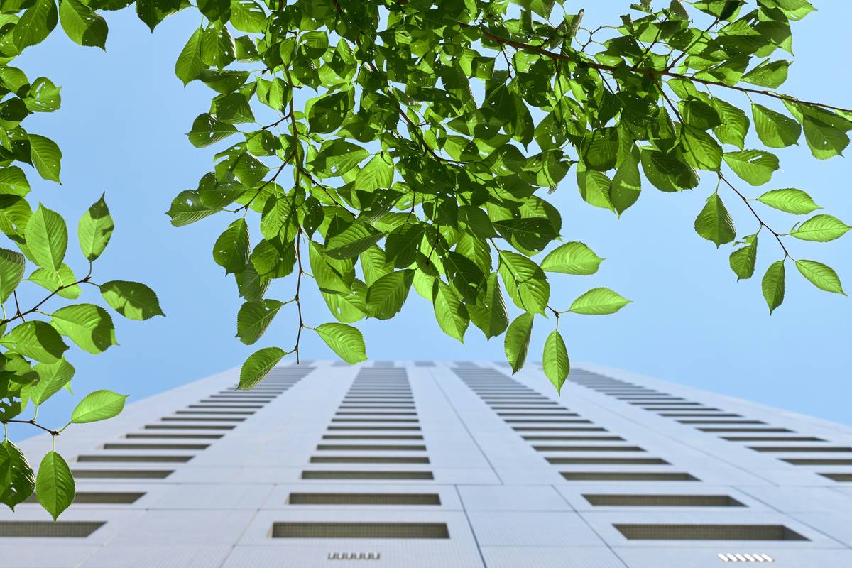 What Is Environmental Defense Cost Cover—and Why Your Business Can’t Afford to Skip It