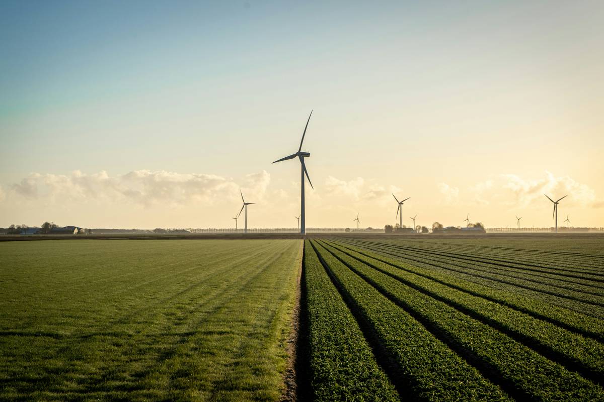 Environmental Prevention Planning: Your Financial Shield Against Pollution Risks