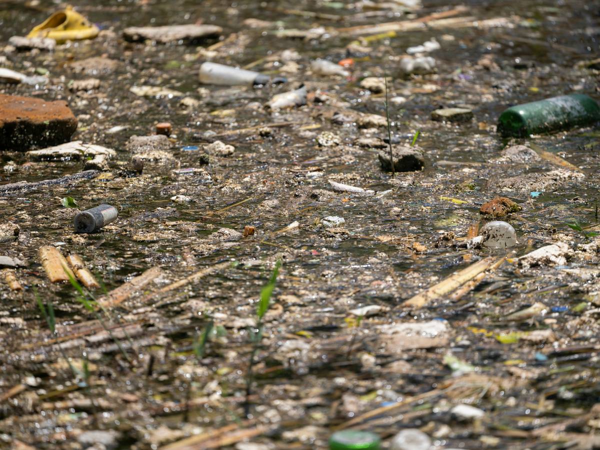 polluted river with floating plastic waste