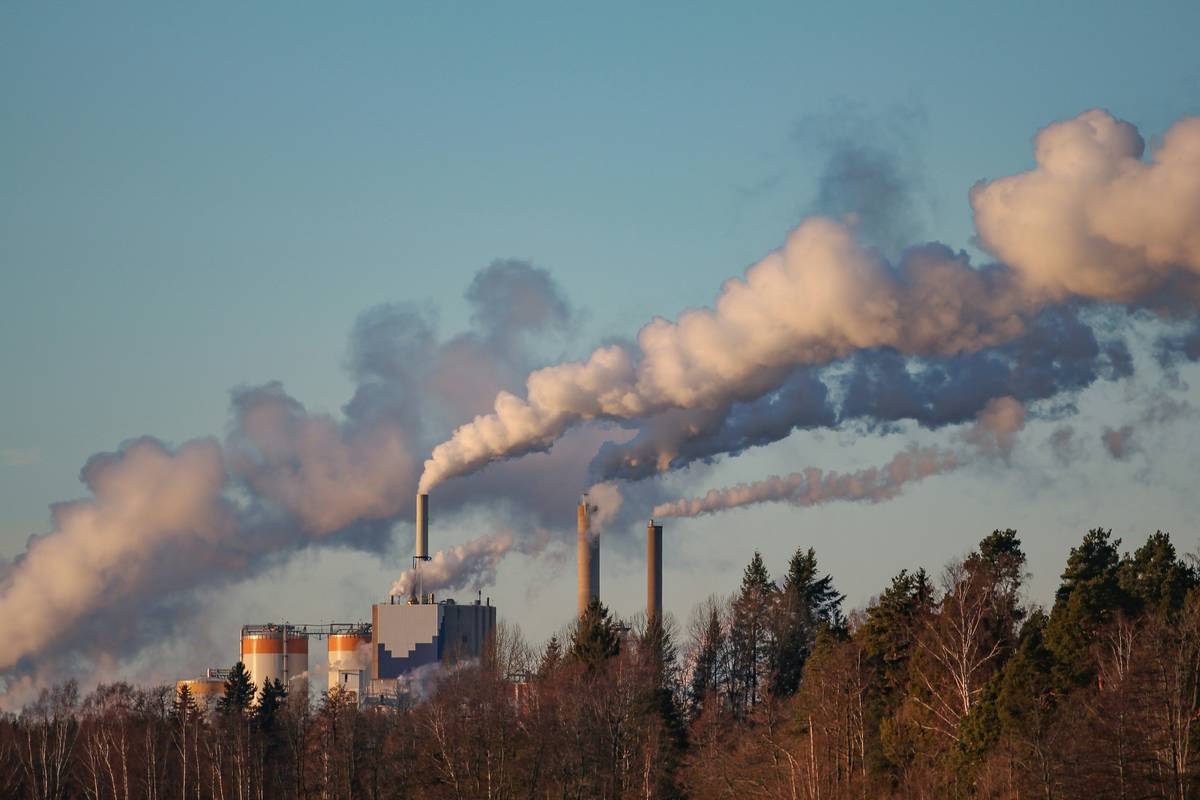 Smoke rising towards the sky from the chimneys of a paper mill in Sweden.