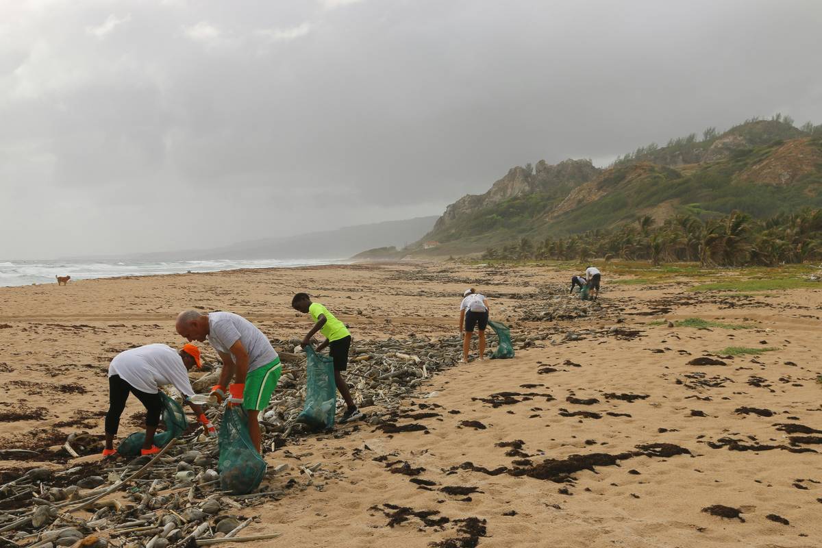 What Is Cleanup Cost Reimbursement? How Pollution Insurance Saves You From Environmental Disasters