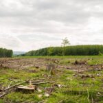 What Is Environmental Settlement Insurance—and Why Your Business Might Already Need It