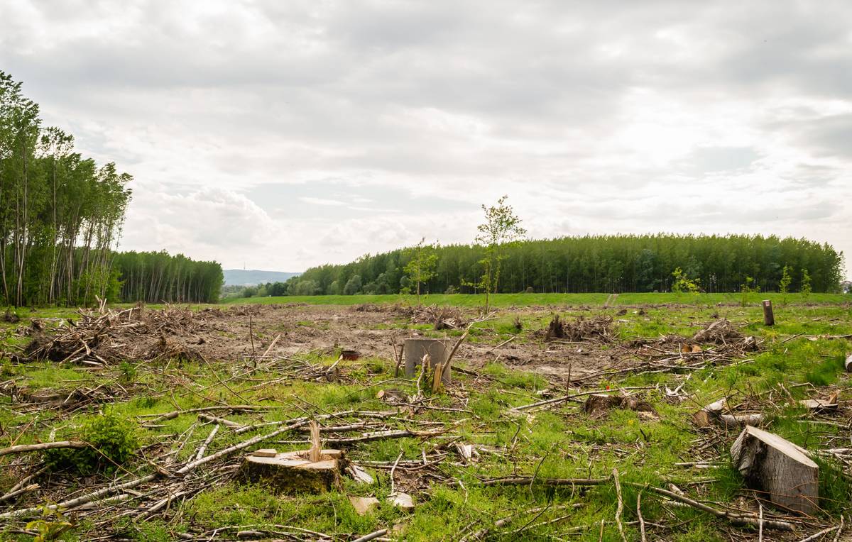 What Is Environmental Settlement Insurance—and Why Your Business Might Already Need It