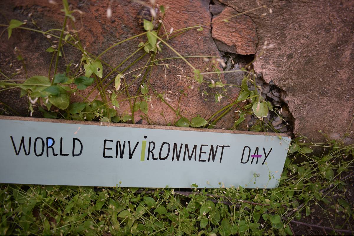 World Environment Day-June 5th